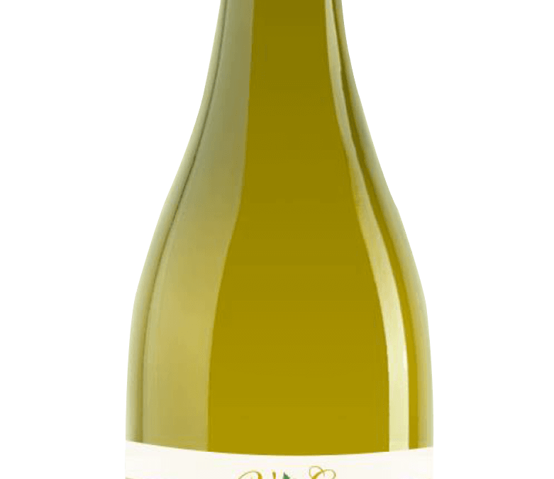 Verdicchio